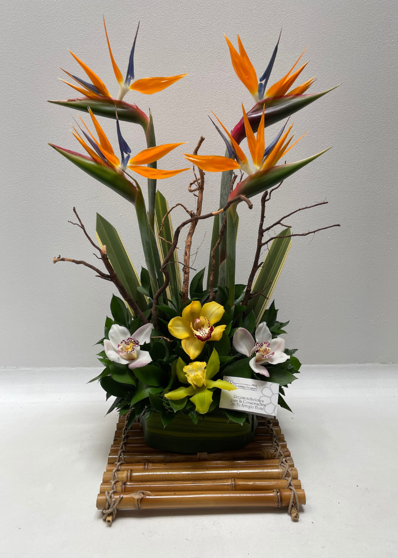 Arreglo otra ocasión 12