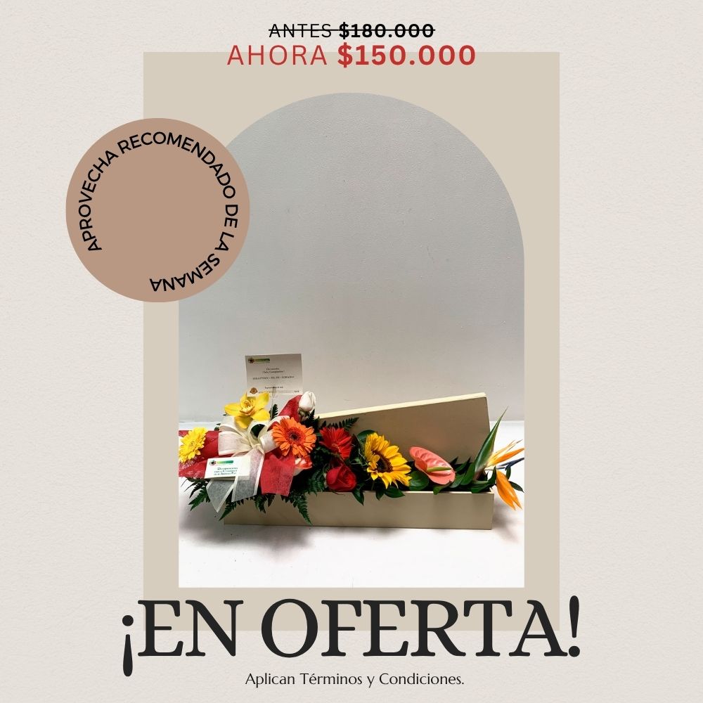 oferta semana floristeria jacqueline medellin