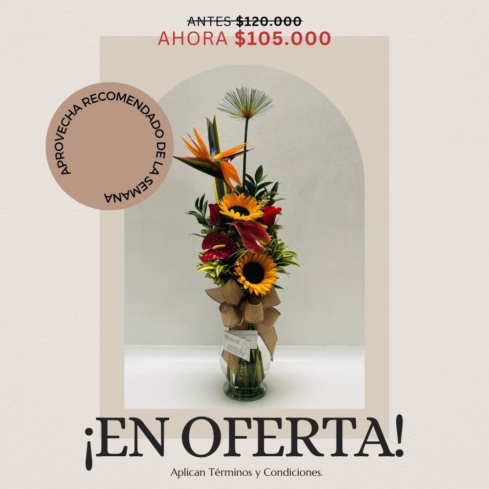 Oferta 06 al 12 de Octubre