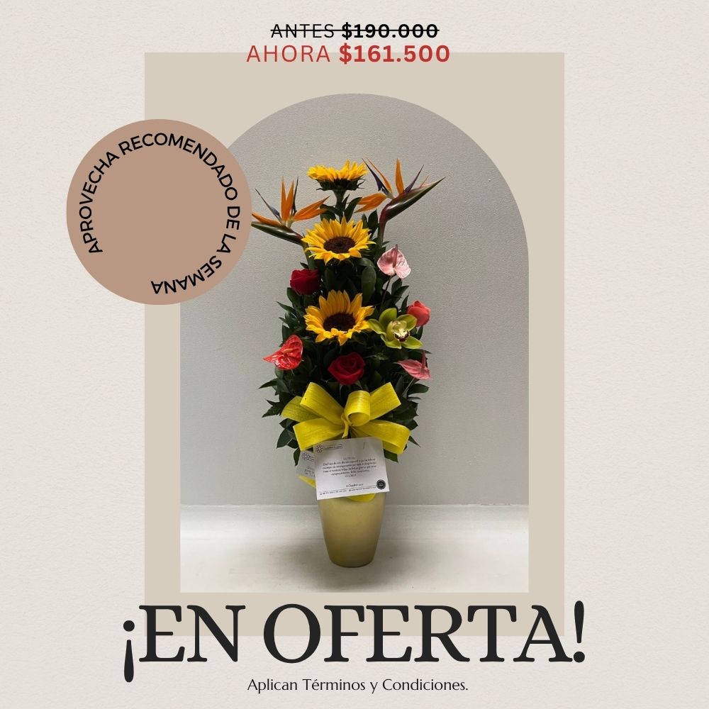 Oferta del 3 al 9 de noviembre
