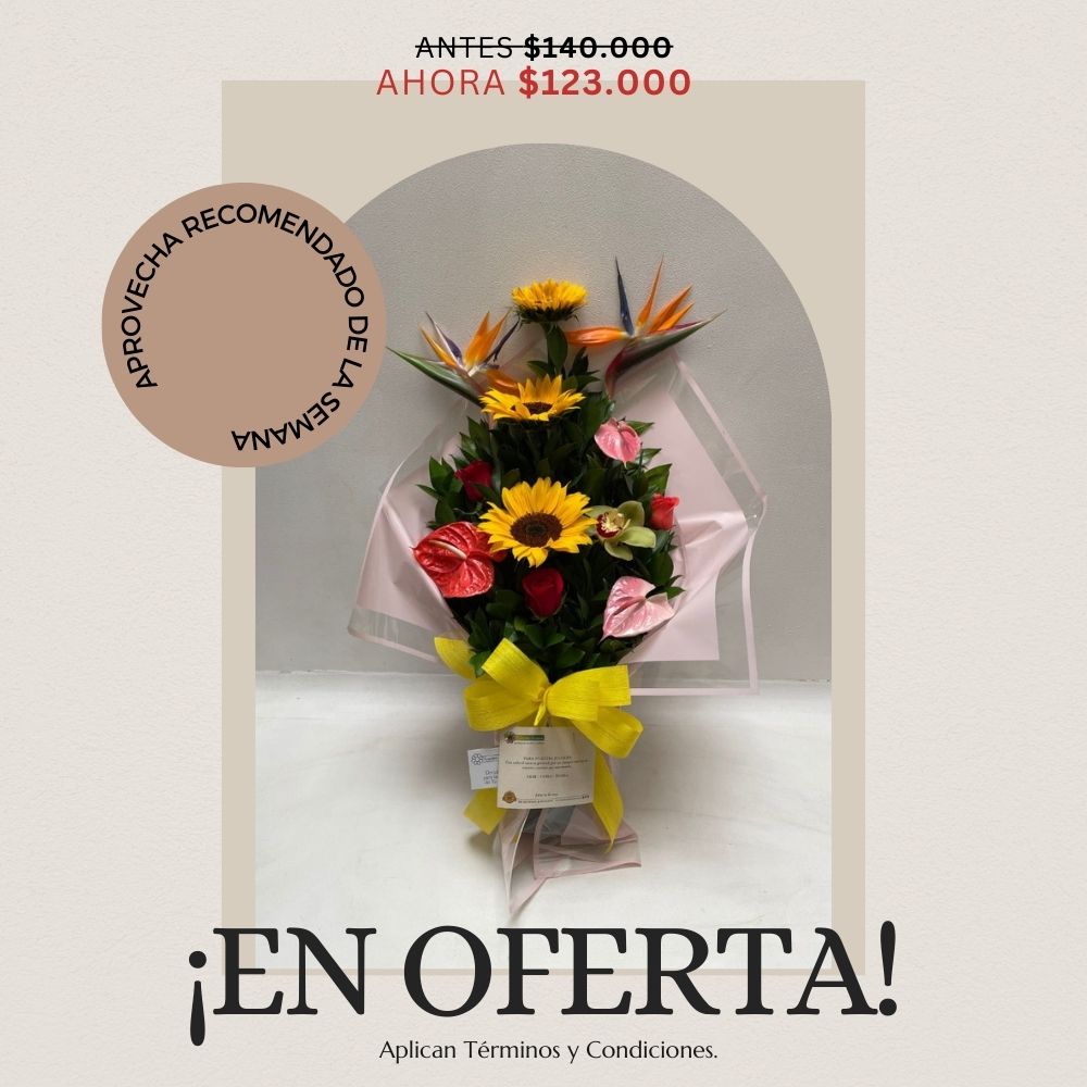 Oferta 19 - 25 de enero.