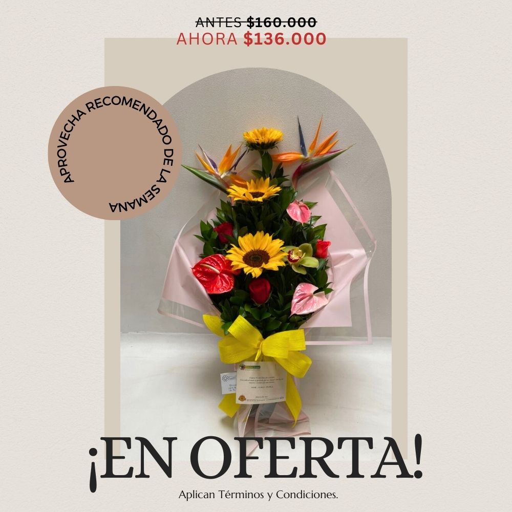 Oferta semana 16 de febrero