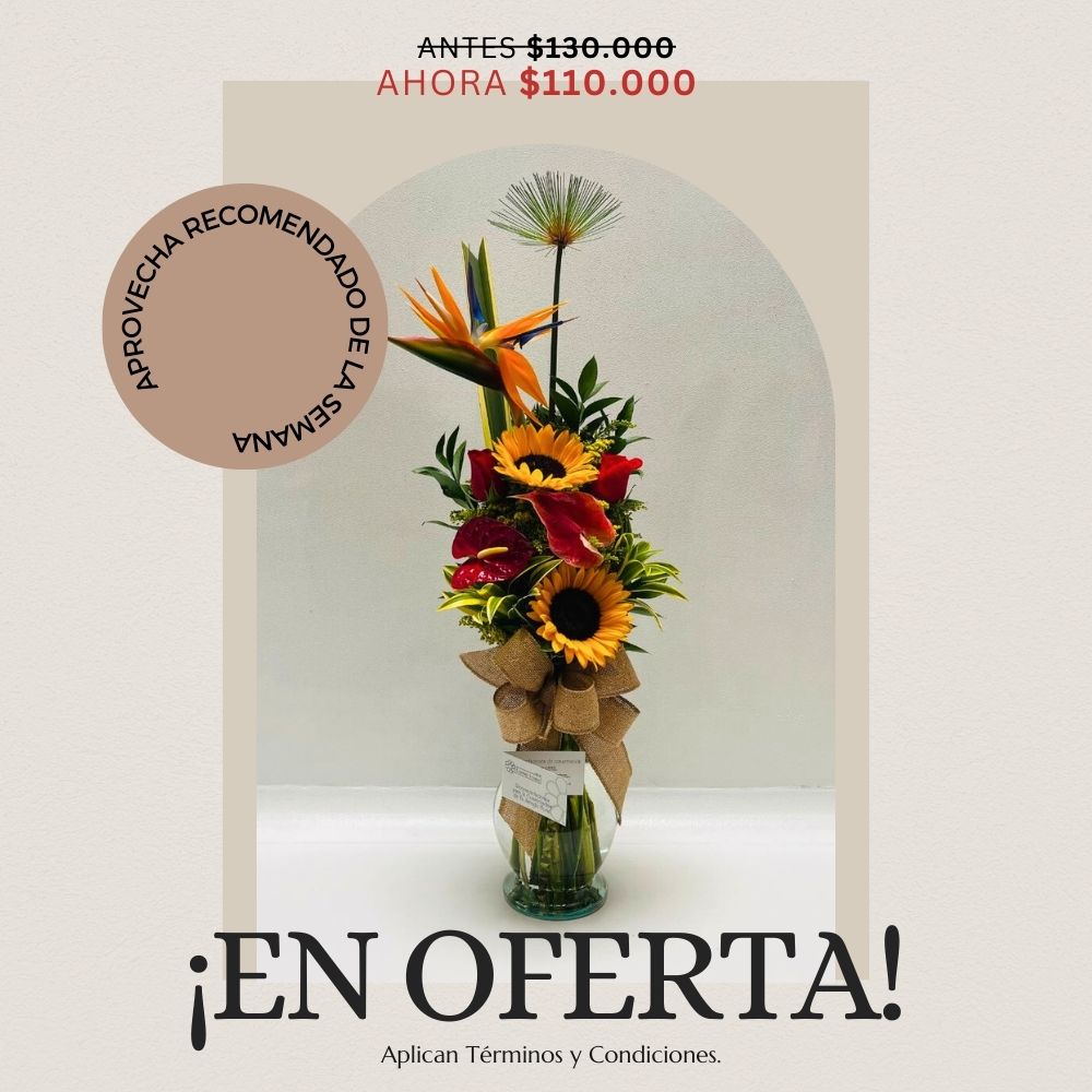 Oferta semana 16-22 de marzo