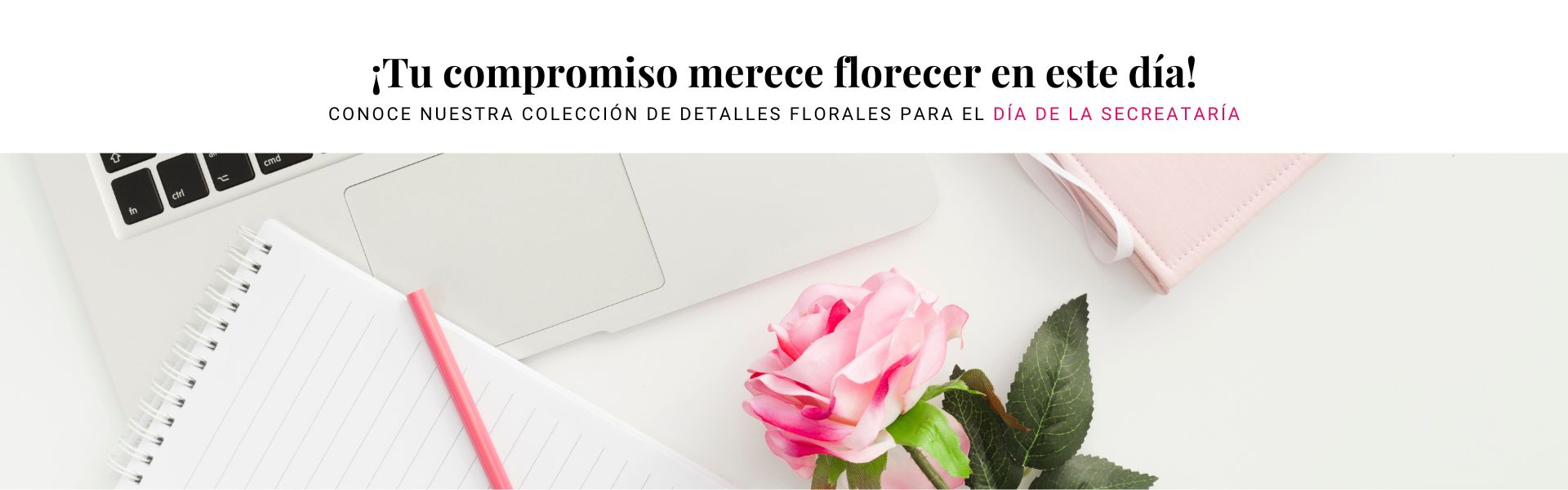 Colección día de la mujer