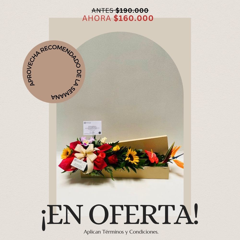 Oferta semana 25 -31 de mayo