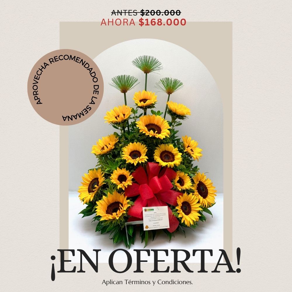 Oferta semana 27 de julio - 2 de agosto