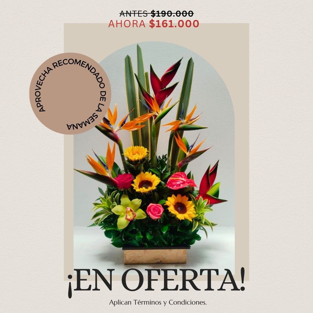 Ofeeta semana 03 de agosto - Floristeria Jacqueline Medellin