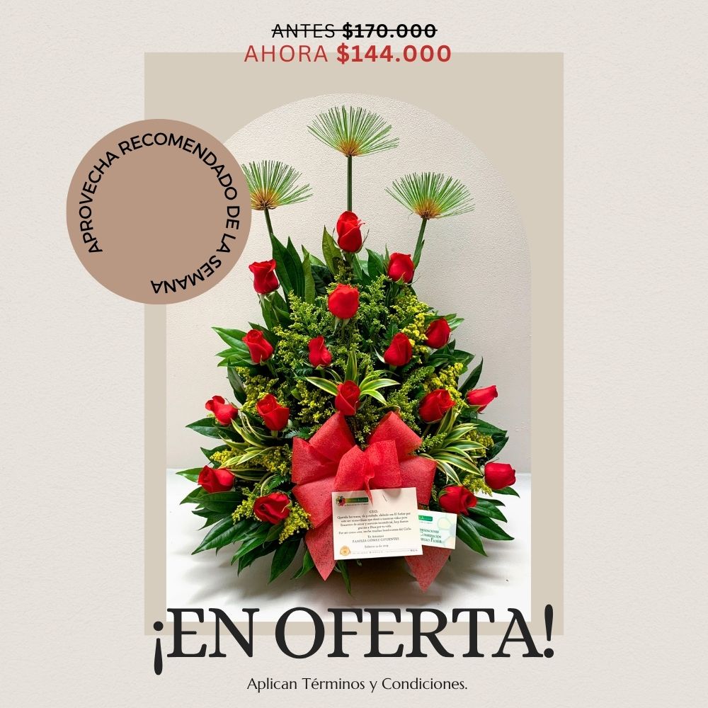Oferta semana 10-16 de aagosto.