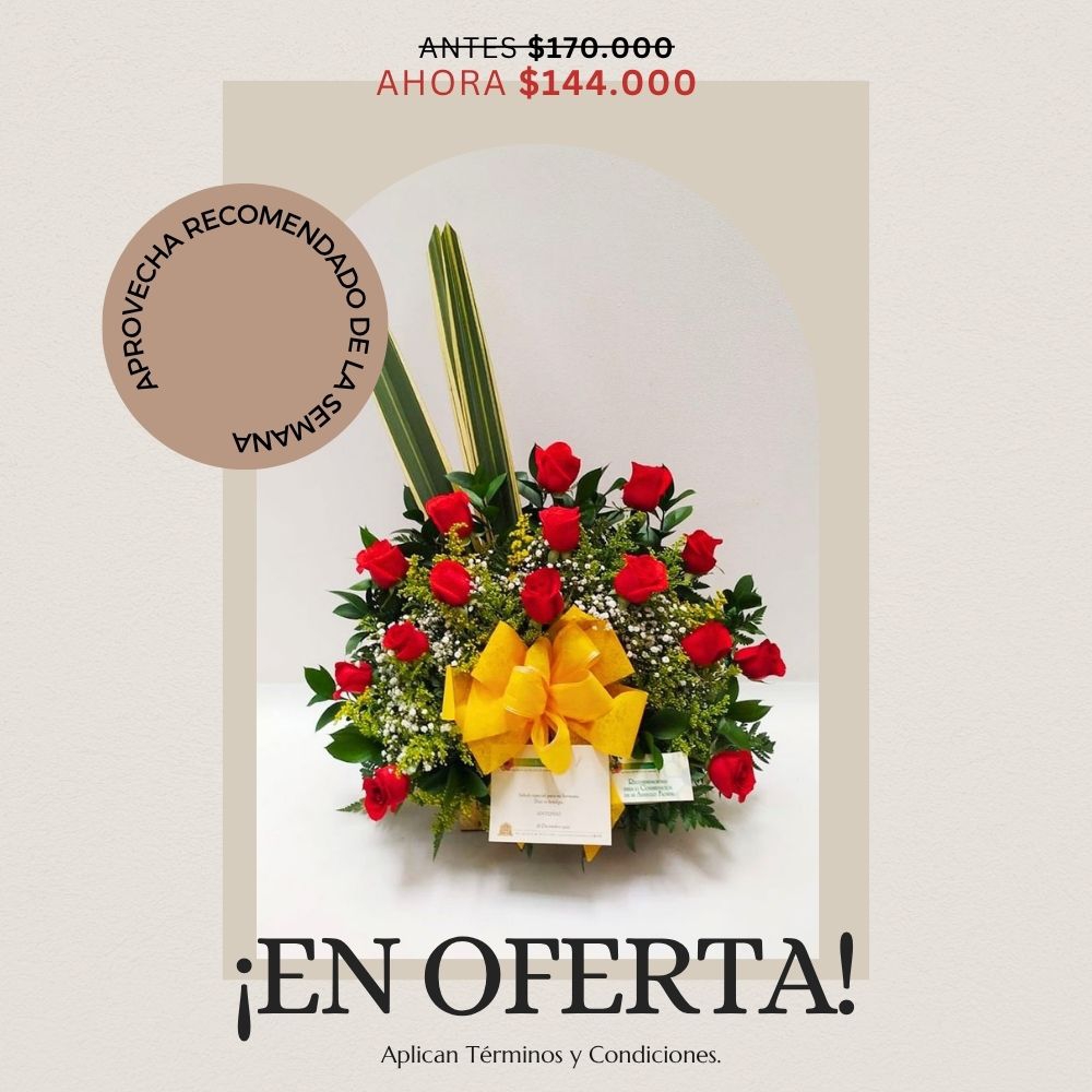 Oferta semana 24-30 de agosto