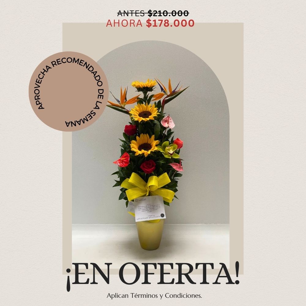 Oferta semana 24-30 de agosto