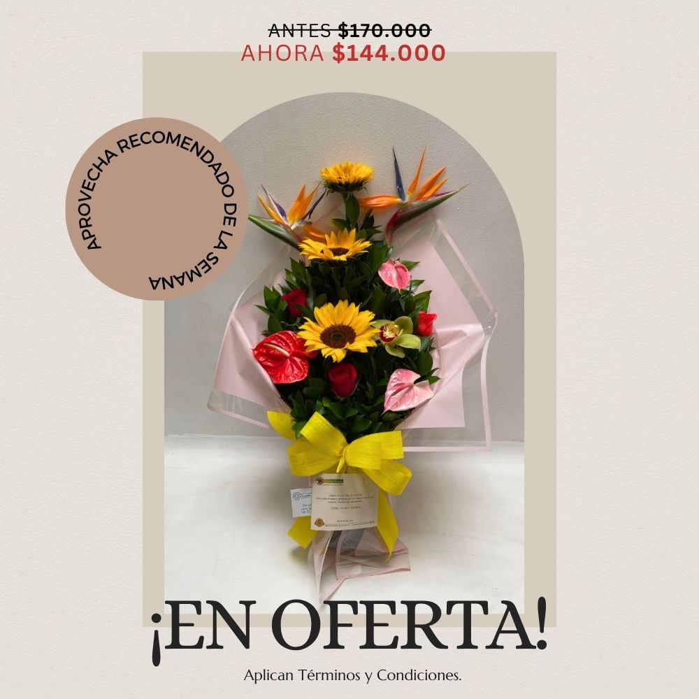 Oferta semana 12 al 18 de octubre