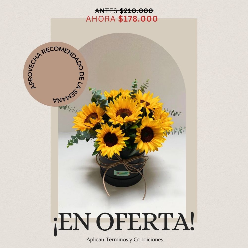 Oferta semana 12 al 18 de octubre