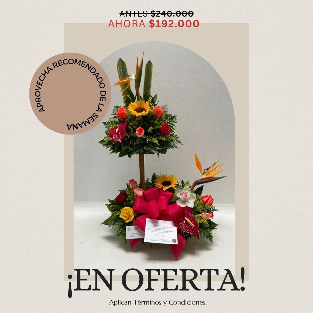 Oferta semana 28 de septiembre al 04 de octubre